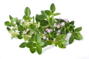 Timjan 10 ml
