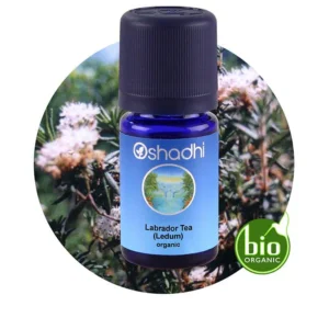 Labrador tea 5 ml